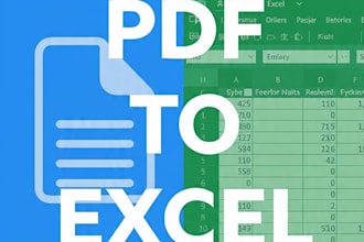 convert PDF to editable excel or word in 24 hours