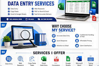 do accurate data entry, excel, copy paste and web search