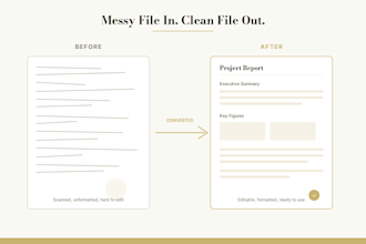be your virtual assistant for data entry and file conversion