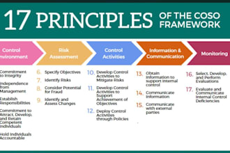 perform risk advisory services