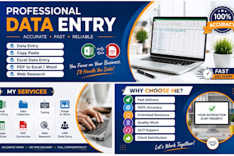 do accurate data entry, copy paste, excel and PDF typing