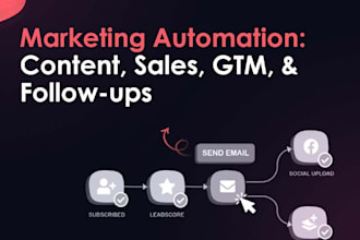 setup apollo, n8n marketing automation GTM clay expert hubspot ghl instantly ai