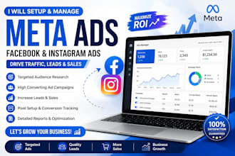 setup and manage meta ads campaign