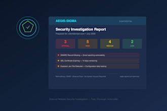 a professional website security audit and vulnerability scan