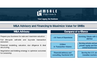 advise on capital raising