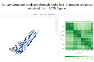 predict and visualize 3d protein structures using alphafold and psipred