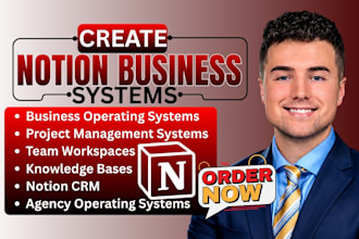 build custom notion CRM, client portal, agency workspace and business dashboard