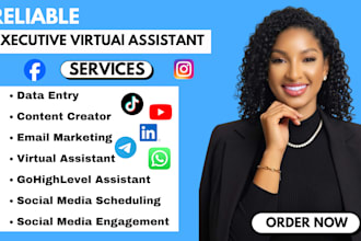 be your executive virtual assistant per hour admin task copy paste data entry VA