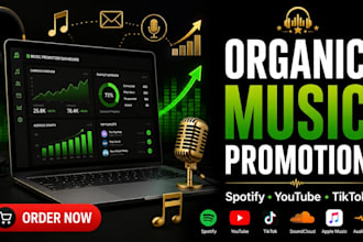 promote your music organically with playlist outreach and marketing strategy