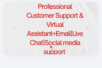 provide customer support and email management