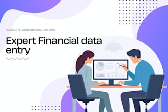 provide professional accounting and financial data entry