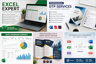 provide accurate, reliable, and highquality excel or dataentries