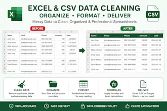clean organize and format your excel or CSV data