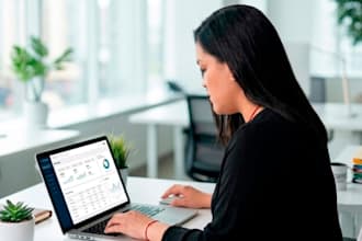 be your expert virtual assistant for data entry and database management