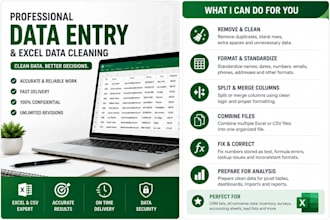 do data entry, data cleaning, and data formatting