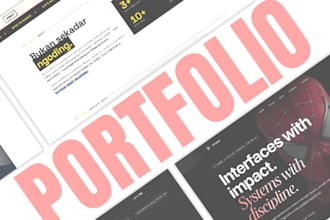 design and develop a professional portfolio website