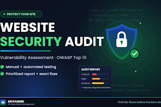 perform a website security audit and vulnerability assessment