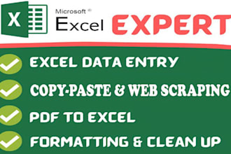 do professional excel data entry and copy paste work