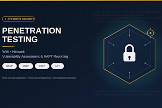 perform professional pentest and vulnerability assessment