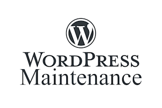 manage, maintain and fix your wordpress website