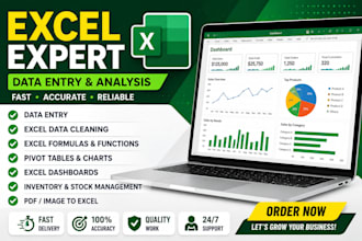 professional excel dashboard with automation