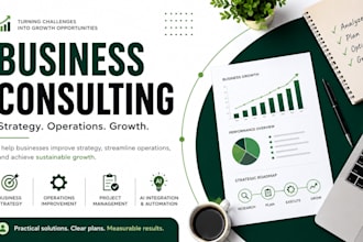 provide business strategy and project management consulting