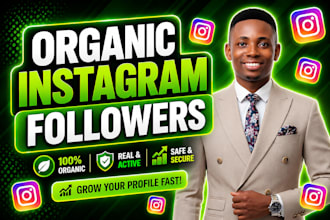 do instagram organic growth and promotion