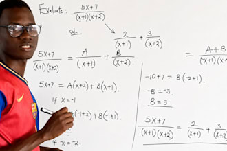 provide professional online math tutoring