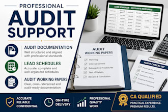 audit files, lead schedules, and audit support documentation