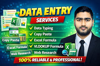 excel data entry, vlookup, excel formula and data cleaning