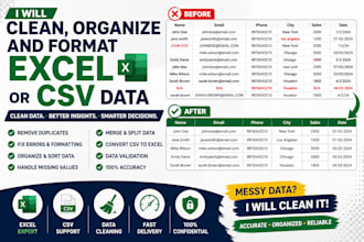 clean, organize and format excel or CSV data