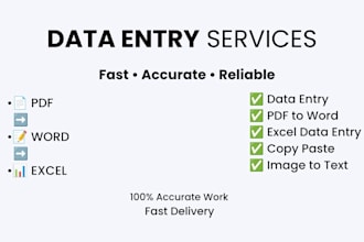 do accurate data entry, PDF to word, excel, and copy paste