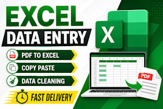 do excel data entry copypaste data cleaning and PDF to excel