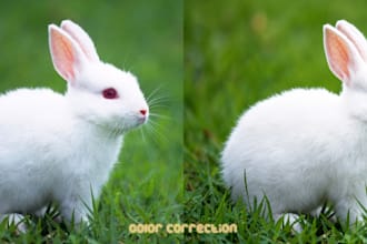 color grade, enhance, and upscale your images to 4k HD