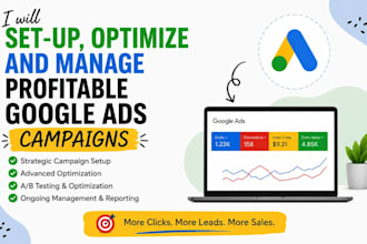 set up, optimize, and manage profitable google ads campaigns