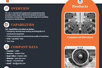design a professional capability statement for your company