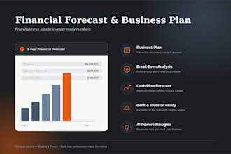 create a professional financial forecast and business plan