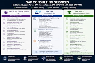 provide sap successfactors employee central and payroll support