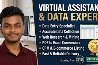 excel data entry, copy paste, and web research