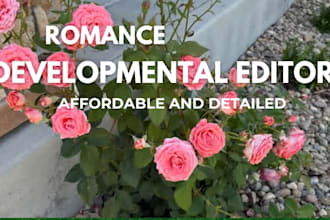 developmental edit your romance novel