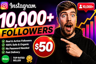 buy 10,000 instagram followers fast