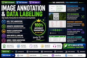 do data labelling data annotation and data entry