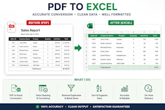 convert PDF to excel and clean your data