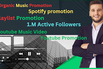 organic music promotion and playlist placement campaign, music video promotion