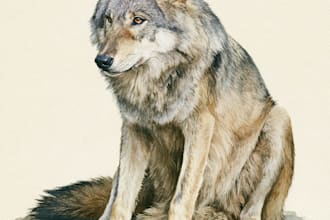 draw amazing art watercolor animal portrait