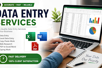 do data entry, excel and google sheets work