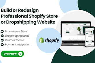 build or redesign professional shopify website store or dropshipping site