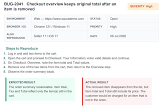 do manual QA testing and write detailed bug reports