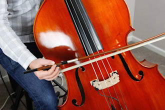 record great violin, viola, cello, double bass, guitar,harp, lute, banjo, erhu