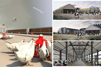 create cgi 3d poultry farm, poultry layout, chicken house and broiler farm